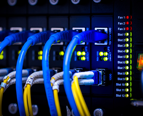 Blue and yellow Ethernet cables connected to a network switch with LED indicators.